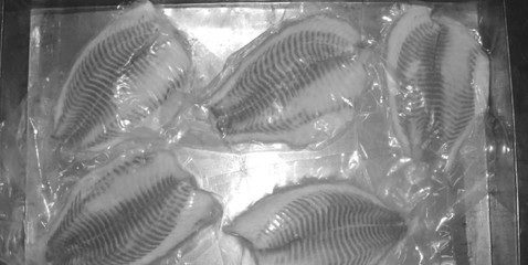 《水產食品加工技術》最新章節(jié) 水產品冷凍加工技術解析