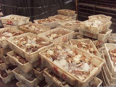 玉環(huán)縣美滋滋水產品 鮮活水產品冷凍加工及銷售的優(yōu)質企業(yè)