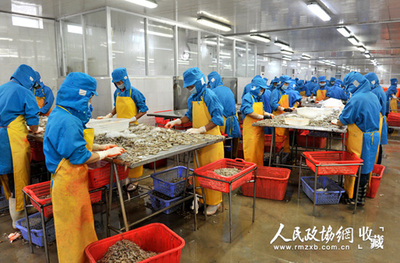 還君明珠終有時 北海市水產品冷凍加工的機遇與挑戰(zhàn)
