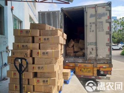 冷凍鱸魚 速鮮白蕉海鱸的現代水產加工與優(yōu)勢