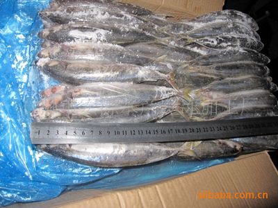 批發(fā)冷凍兩片裝四破魚 石獅市宏源水產的加工智慧與智農分級體系