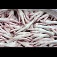 文登市埠口正昇冷藏廠 羊肉與水產(chǎn)品的現(xiàn)代化冷凍加工之路