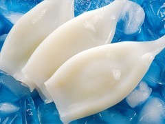凍魷魚(yú)系列產(chǎn)品 水產(chǎn)品冷凍加工領(lǐng)域的優(yōu)質(zhì)選擇