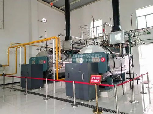 綠色引擎賦能藍色經(jīng)濟 中正燃氣鍋爐攜手省級名企助力水產(chǎn)品深加工新突破