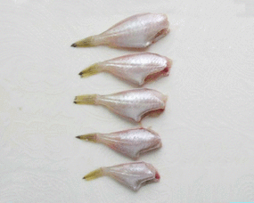 冷凍水產(chǎn)品采購與加工市場最新動態(tài)分析